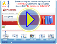 Videoconferenza Videoconferenza